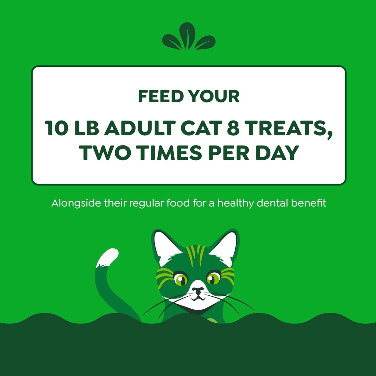 Delicious Oven Roasted Chicken Dental Treats for Adult Cats - 9.75 Oz Tub