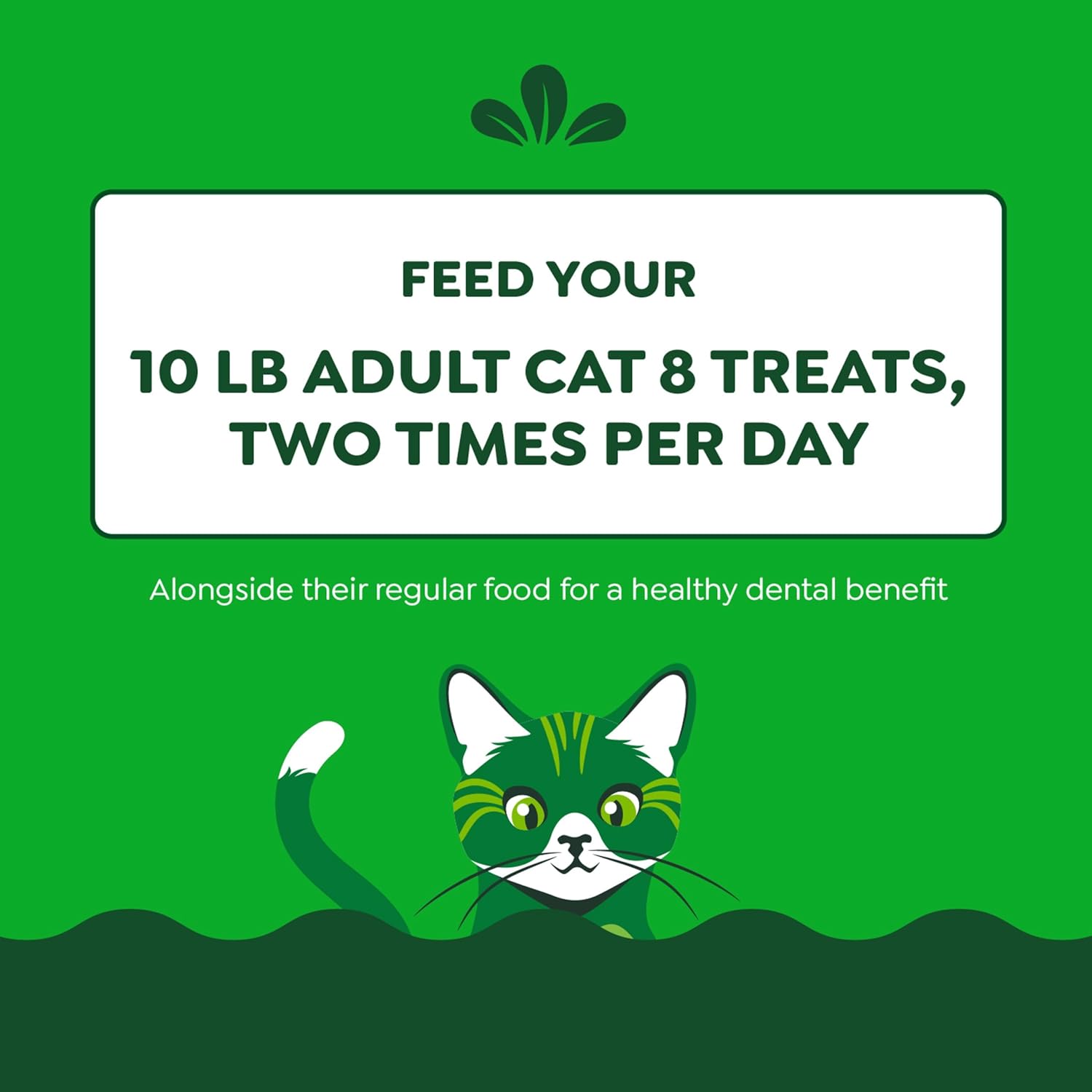 Delicious Oven Roasted Chicken Dental Treats for Adult Cats - 9.75 Oz Tub