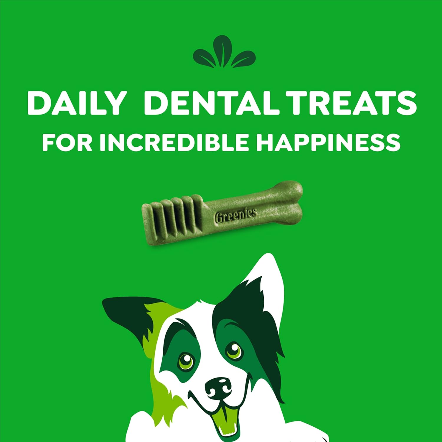 Original Regular Dental Dog Treats - 36 Oz Pack (36 Treats) for Fresh Breath and Healthy Teeth