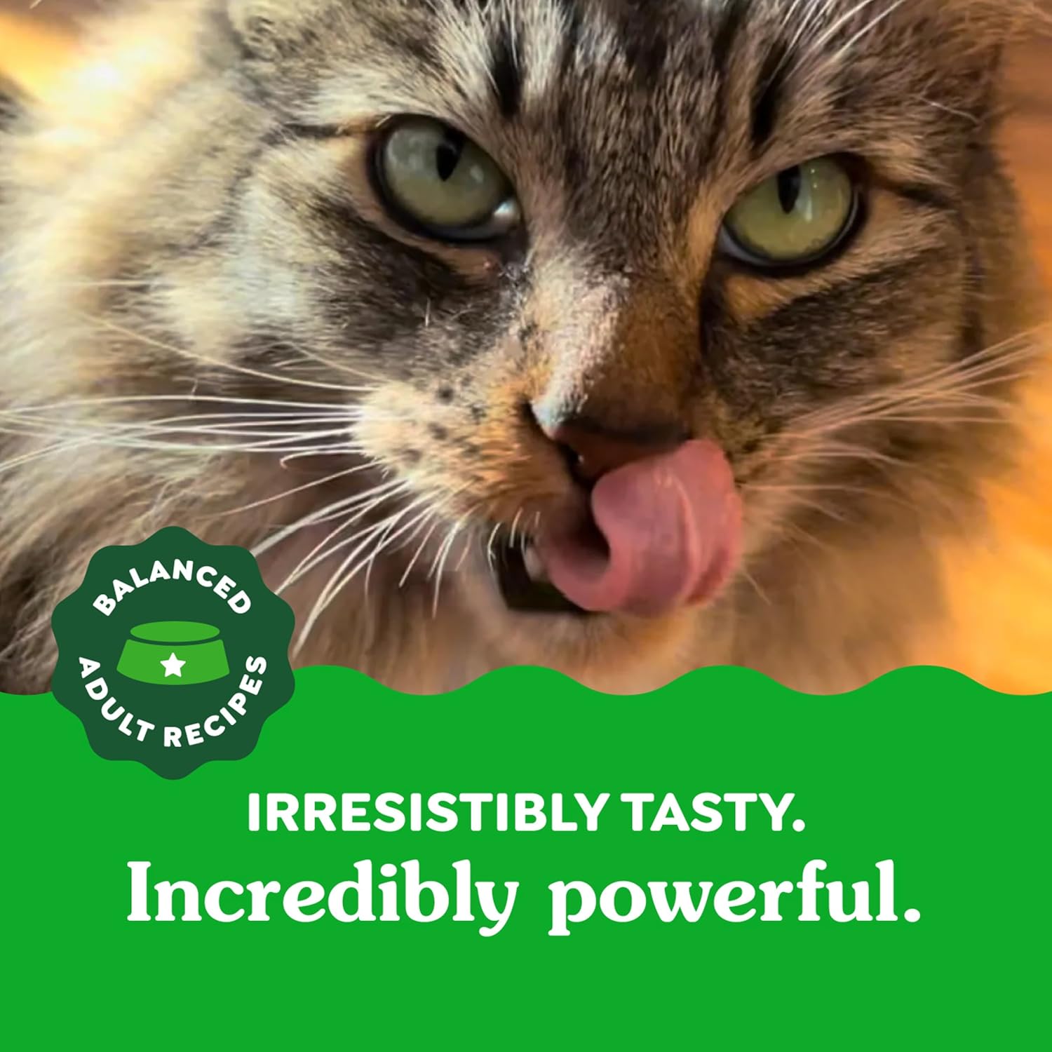Delicious Oven Roasted Chicken Dental Treats for Adult Cats - 9.75 Oz Tub