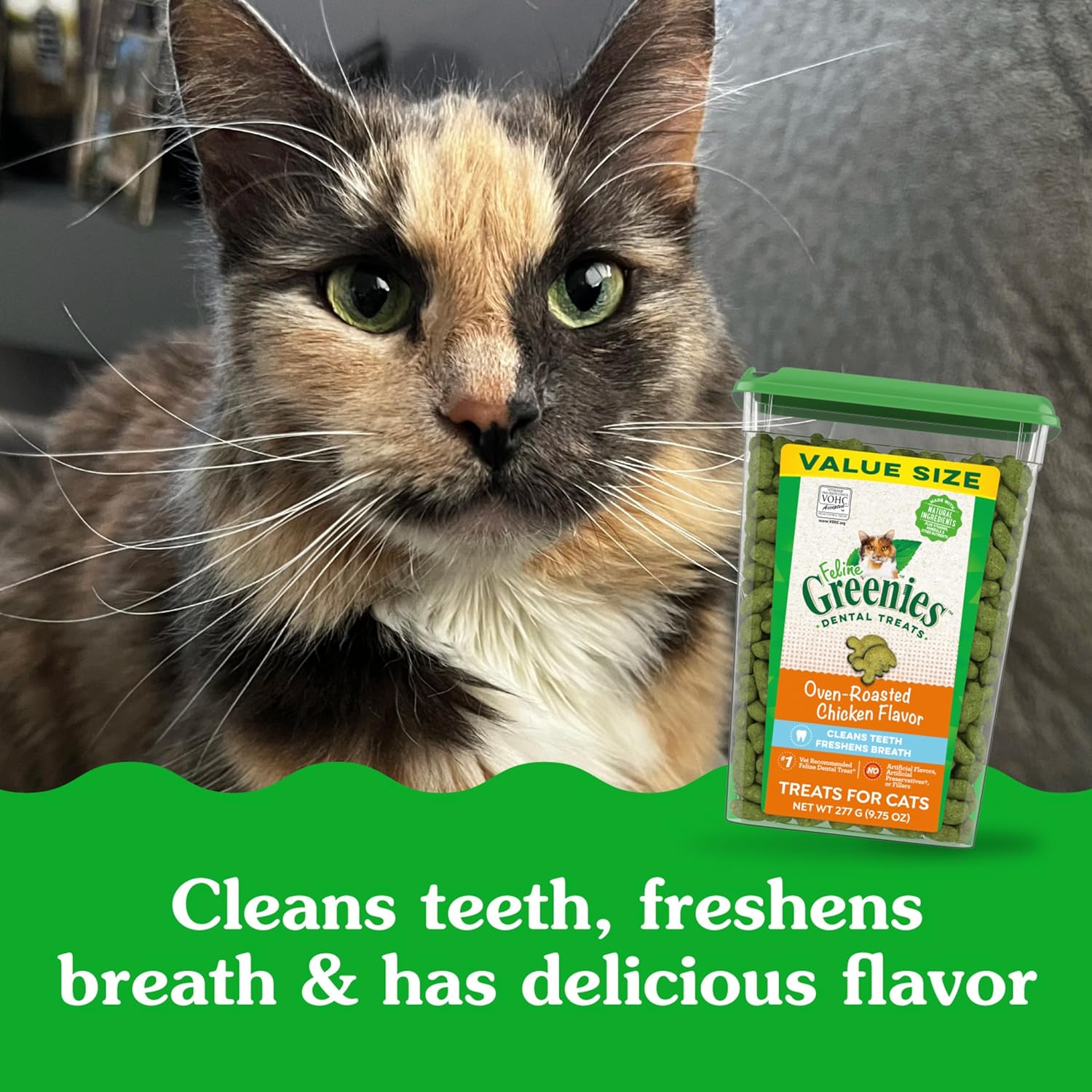 Delicious Oven Roasted Chicken Dental Treats for Adult Cats - 9.75 Oz Tub